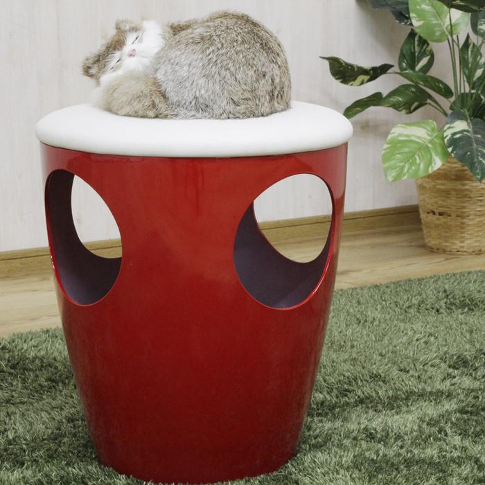 猫ちゃんの秘密基地アカシア材No,1猫ハウス