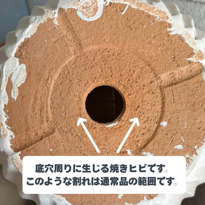 テラコッタ植木鉢 3個セット おしゃれ 約10号 8号 約6号 大型 素焼き KONTON ES-E39X3SE 寄せ植え 屋外 陶器 底穴あり |  | 03