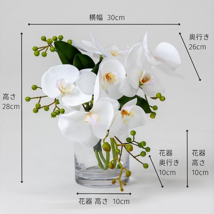 胡蝶蘭 造花 シリンダーブラン S 枯れない アーティフィシャルフラワー 高級 ギフト 開店祝い 就任祝い 周年記念 お祝い 受付 お供え インテリア |  | 01