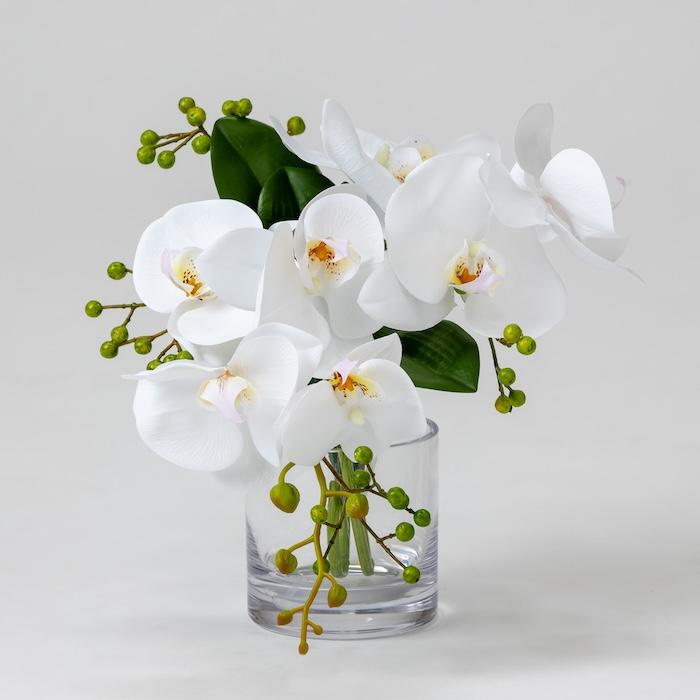 胡蝶蘭 造花 シリンダーブラン S 枯れない アーティフィシャルフラワー 高級 ギフト 開店祝い 就任祝い 周年記念 お祝い 受付 お供え インテリア |  | 02