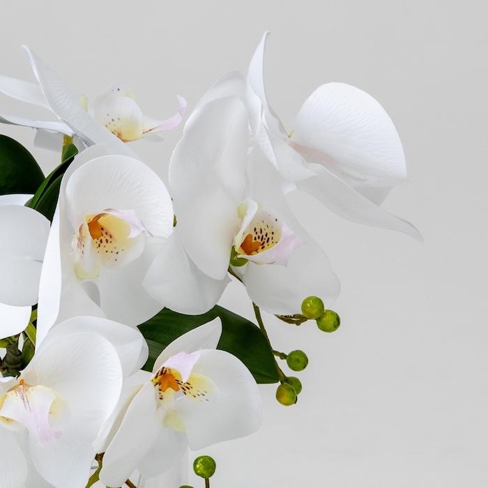 胡蝶蘭 造花 シリンダーブラン S 枯れない アーティフィシャルフラワー 高級 ギフト 開店祝い 就任祝い 周年記念 お祝い 受付 お供え インテリア |  | 04