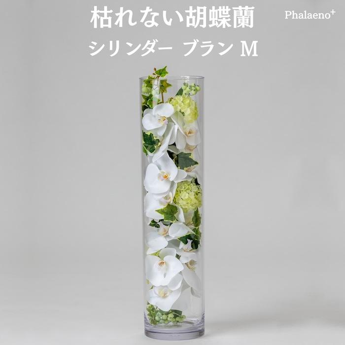 胡蝶蘭 造花 シリンダーブラン L 枯れない アーティフィシャルフラワー 高級 ギフト 開店祝い 就任祝い 周年記念 お祝い 受付 お供え インテリア | 