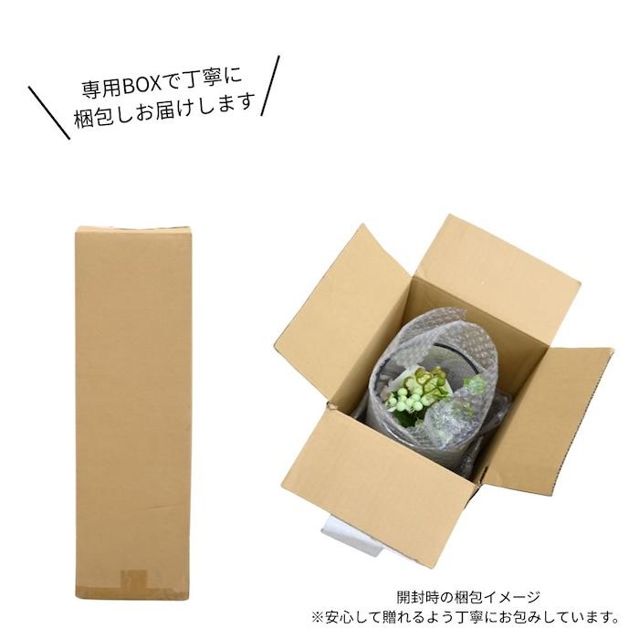 胡蝶蘭 造花 シリンダーブラン L 枯れない アーティフィシャルフラワー 高級 ギフト 開店祝い 就任祝い 周年記念 お祝い 受付 お供え インテリア |  | 04