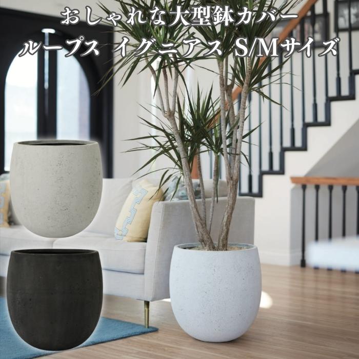 KONTON 鉢カバー おしゃれ 大型 ループス イグニアス 15号 11号
