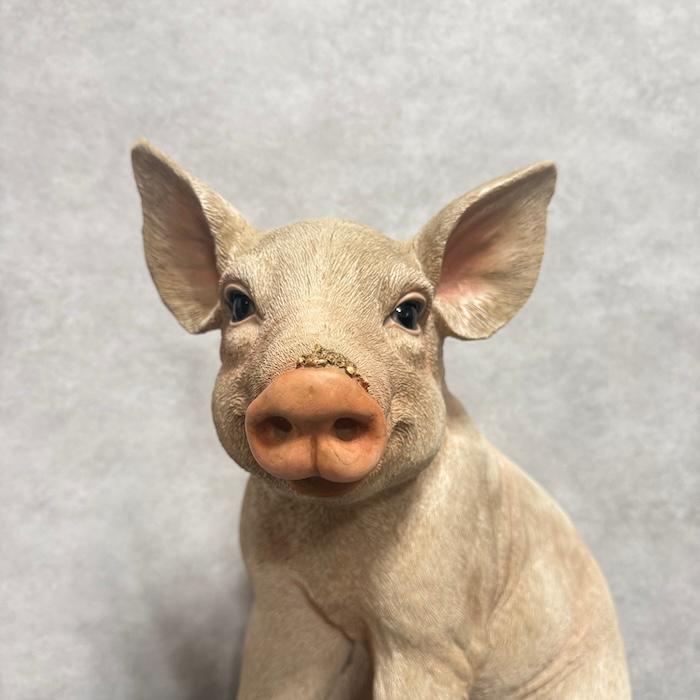 置物 お座りピンク 小豚 特大 ブタグッズ 高さ46.5cm 巨大オブジェ