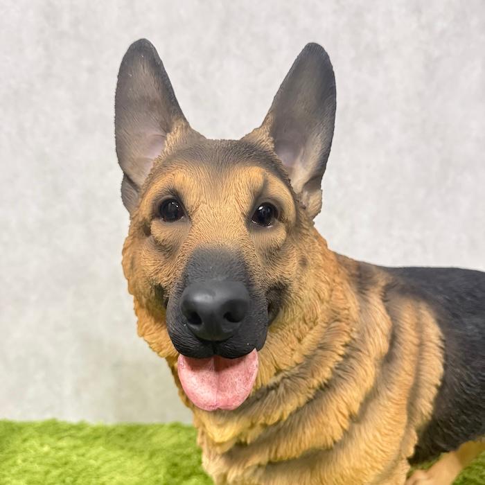 犬 置物 大型 動物 立ち止まる ジャーマンシェパード 大 横幅70cm 巨大オブジェ woobia おしゃれ 大きい 玄関 インテリア 庭 ガーデン 北欧 リアル ウービア | WOOBIA | 12