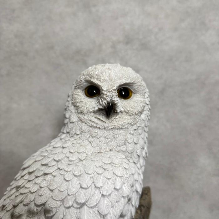 WOOBIA（ウービア） 鳥 置物 オブジェ 北欧 動物 かわいい 切り株に