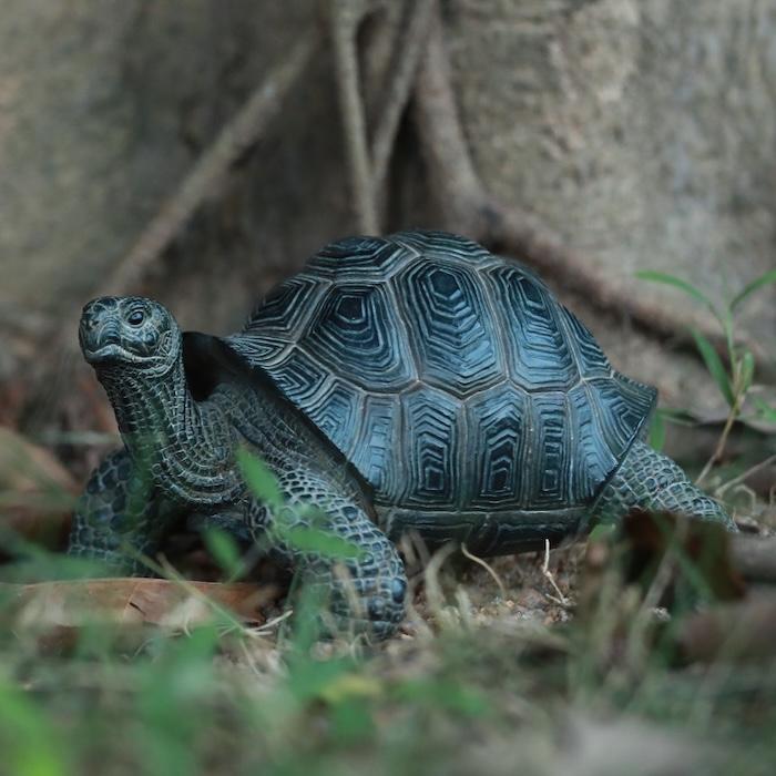 置物 かわいい 動物 玄関 亀の置物 カメ 小 おしゃれ インテリア 庭