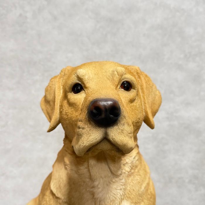 犬 置物 大型 動物 特大 お座りラブラドール・レトリバー 高さ54cm