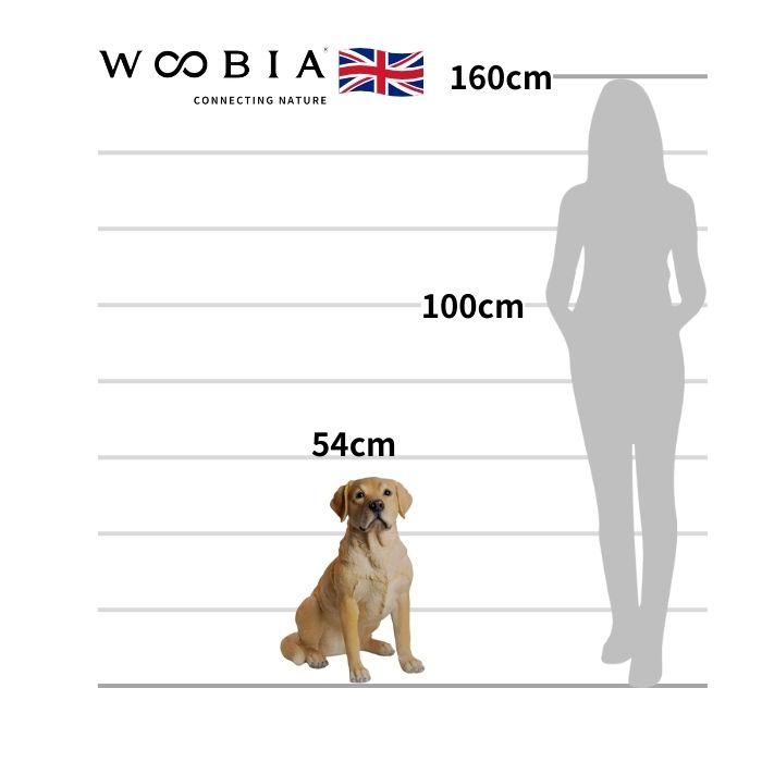 犬 置物 大型 動物 特大 お座りラブラドール・レトリバー 高さ54cm
