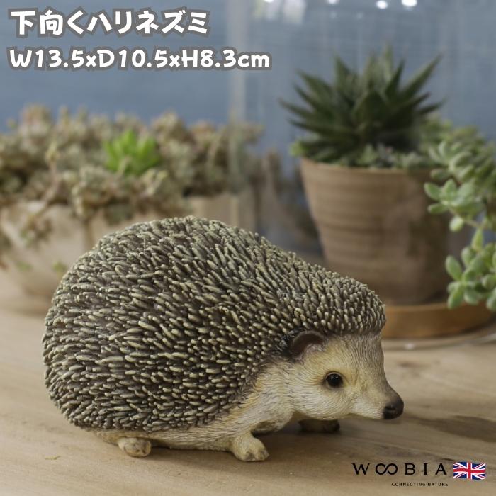 WOOBIA（ウービア） 置物 かわいい 動物 玄関 下向くハリネズミの置物