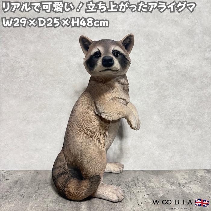 置物 動物 立ち上がったアライグマ 高さ48cm 巨大オブジェ woobia