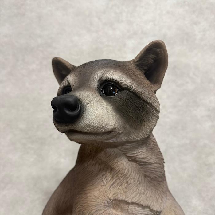 置物 動物 立ち上がったアライグマ 高さ48cm 巨大オブジェ woobia