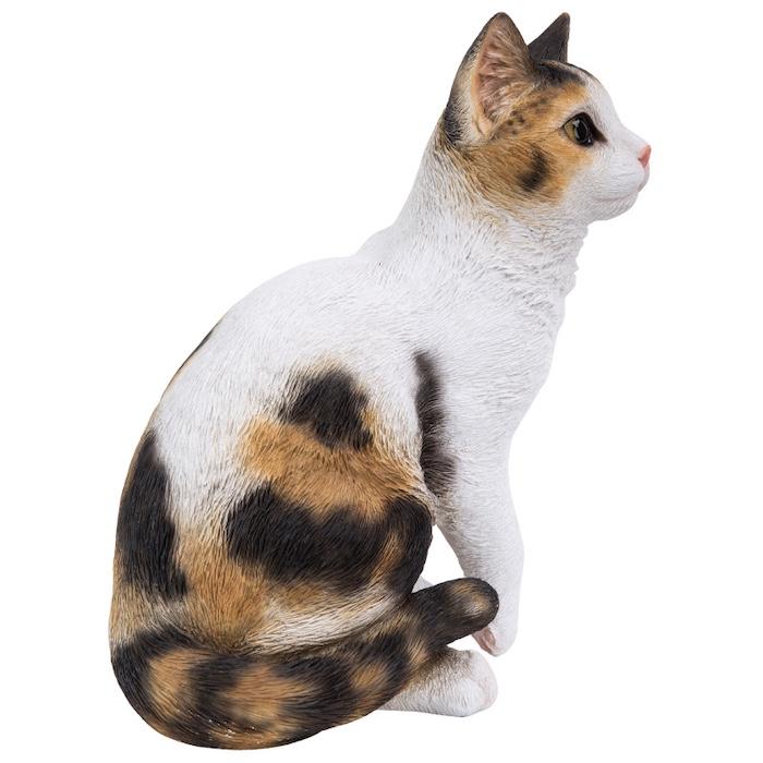 三毛猫の毛 洋猫ミックス長毛三毛赤ちゃん猫」茨城県 - 猫の里親募集(511523