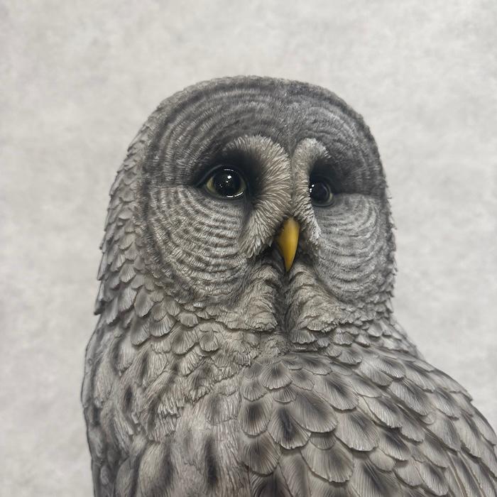 WOOBIA（ウービア） 置物 鳥 かわいい オブジェ 北欧 動物 切り株に