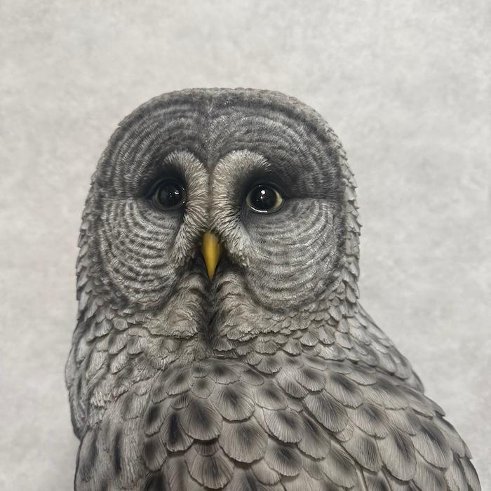 WOOBIA（ウービア） 置物 鳥 かわいい オブジェ 北欧 動物 切り株に