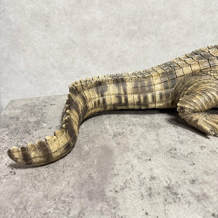 置物 動物 威嚇するワニ 横幅77.5cm woobia おしゃれ 大きい 玄関