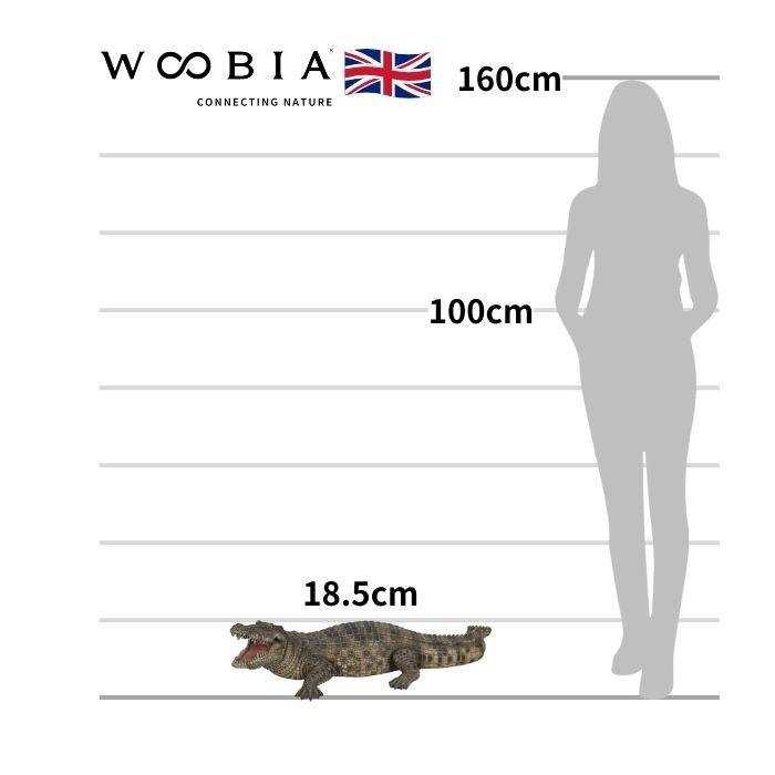 置物 動物 威嚇するワニ 横幅77.5cm woobia おしゃれ 大きい 玄関