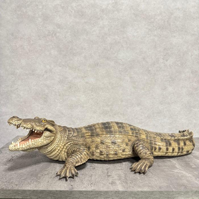 置物 動物 威嚇するワニ 横幅77.5cm woobia おしゃれ 大きい 玄関