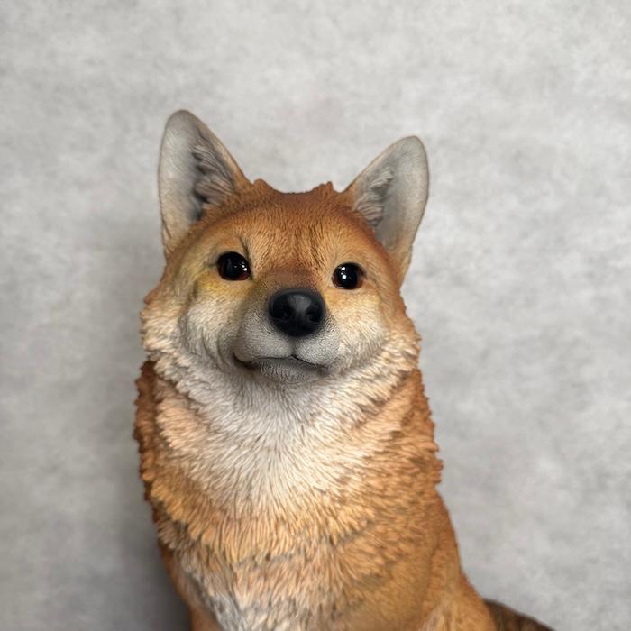 WOOBIA（ウービア） 置物 動物 お座りきつね 特大 狐 高さ48.5cm 巨大