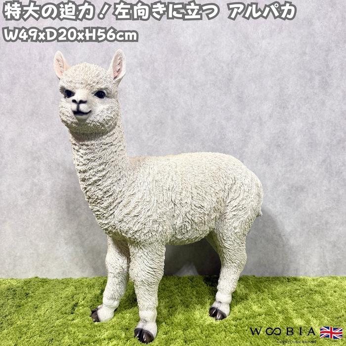 WOOBIA（ウービア） 置物 動物 左向きに立つアルパカ 大 高さ56cm 