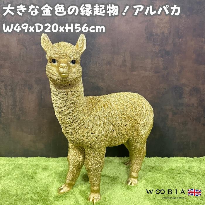 置物 動物 アルパカ ゴールド 金色 縁起物 高さ56cm おしゃれ 大きい