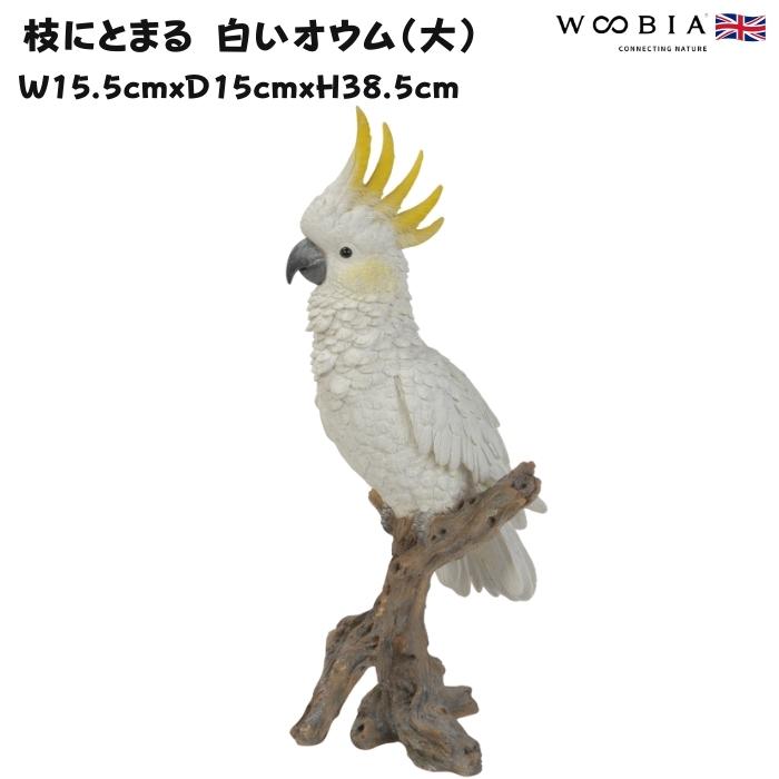 オウム　置き物　イタリア製　オブジェ　コレクション 鳥 WOOBIA（ウービア） 鳥 置物 オブジェ 北欧 動物 かわいい 枝にとまる