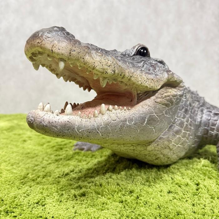 置物 餌を待つワニ 特大 横幅79.5cm 鰐 woobia 巨大オブジェ おしゃれ