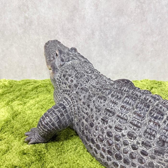 置物 餌を待つワニ 特大 横幅79.5cm 鰐 woobia 巨大オブジェ おしゃれ