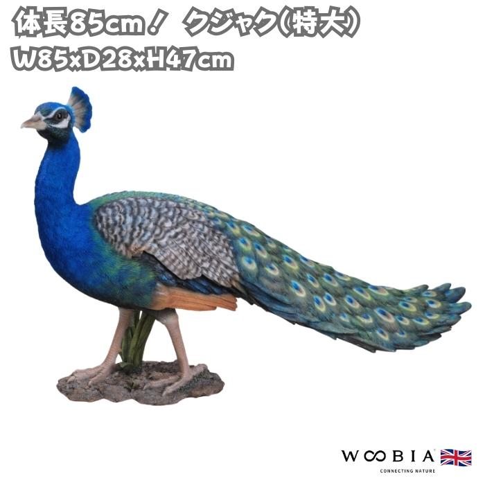WOOBIA（ウービア） 鳥 置物 オブジェ 北欧 動物 かわいい クジャク