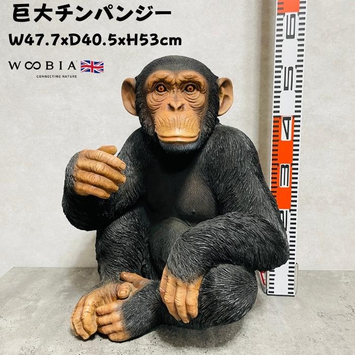 置物 動物 チンパンジー 高さ53cm おしゃれ 大きい 玄関 インテリア 庭 ガーデン かわいい オブジェ 北欧 リアル 大型 面白い ウービア | 