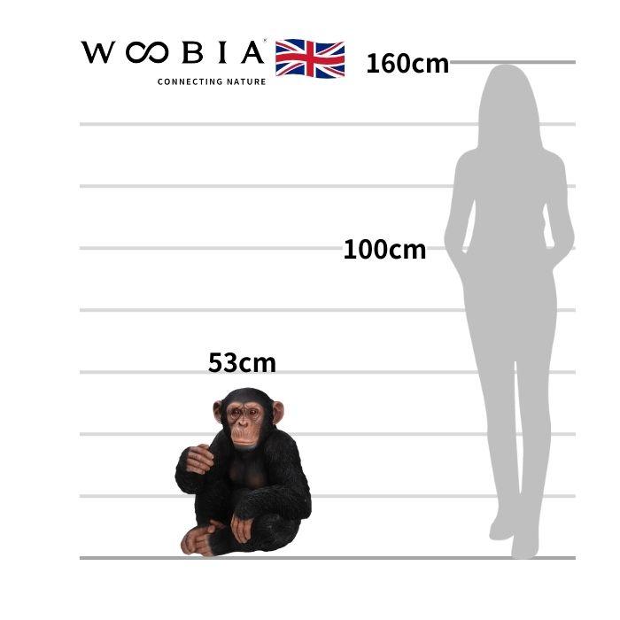 置物 動物 チンパンジー 高さ53cm おしゃれ 大きい 玄関 インテリア 庭 ガーデン かわいい オブジェ 北欧 リアル 大型 面白い ウービア |  | 01