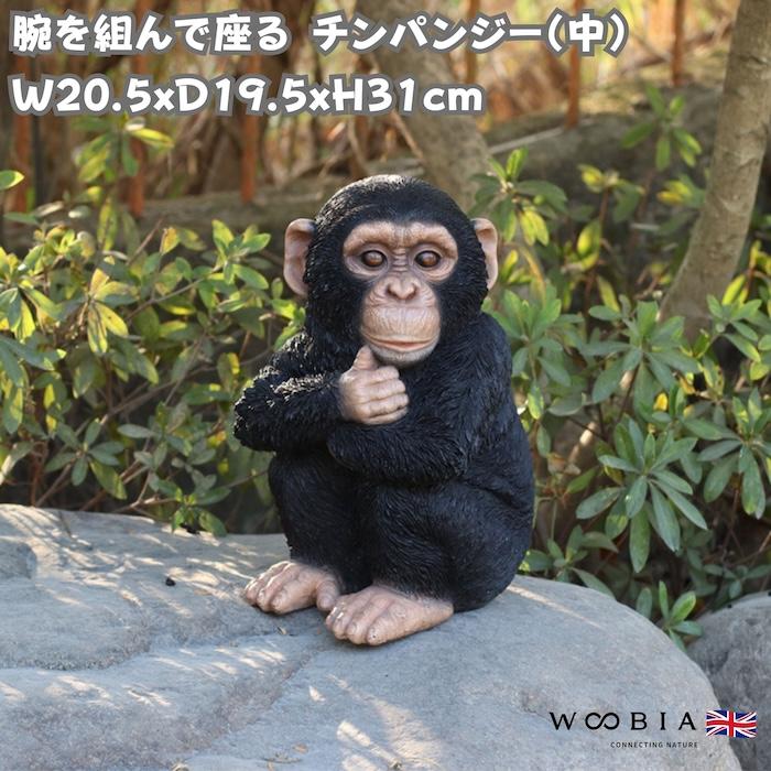 置物 動物 腕を組んで座る チンパンジー 中 高さ28cm おしゃれ 大きい