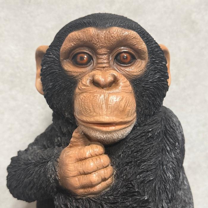 置物 動物 腕を組んで座る チンパンジー 中 高さ28cm おしゃれ 大きい