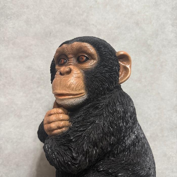 置物 動物 腕を組んで座る チンパンジー 中 高さ28cm おしゃれ 大きい