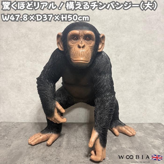 スワロフスキー 野性の王国 チンパンジー置物 楽天市場】チンパンジー 猿 オブジェ オーナメント ガーデン