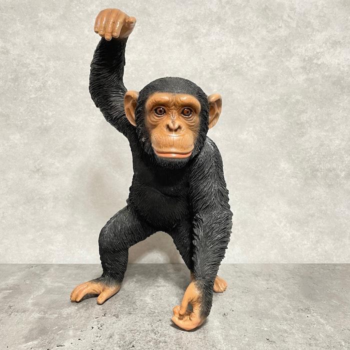 置物 動物 手を上げるチンパンジー 高さ43cm おしゃれ 大きい 玄関 インテリア 庭 かわいい オブジェ リアル 面白い |  | 01