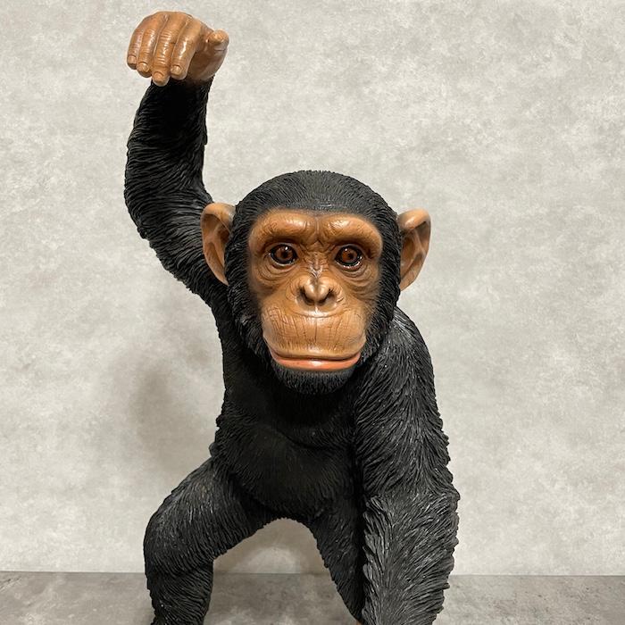置物 動物 手を上げるチンパンジー 高さ43cm おしゃれ 大きい 玄関 インテリア 庭 かわいい オブジェ リアル 面白い |  | 03