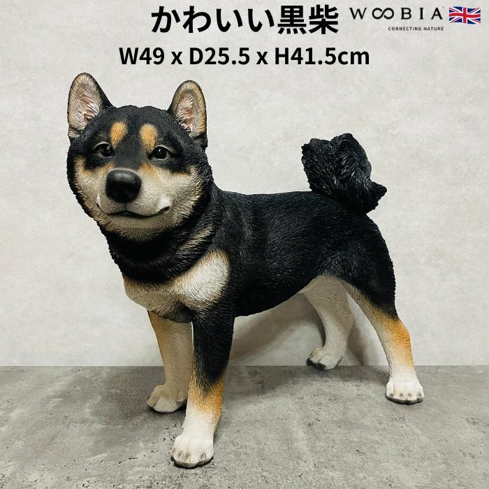 犬 置物 大型 動物 立っている黒柴犬 特大 高さ41.5cm woobia おしゃれ