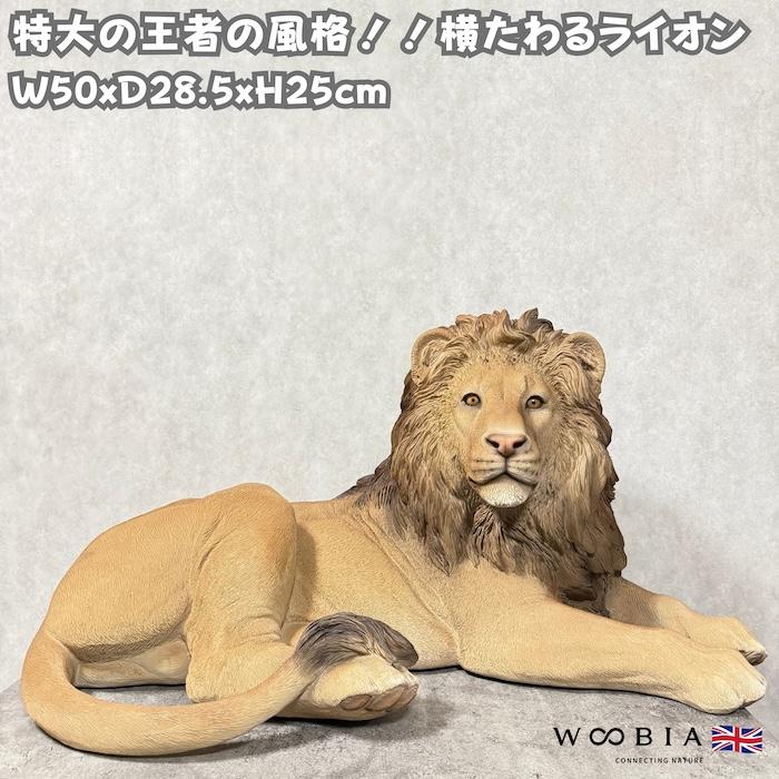 置物 動物 横たわるライオン 特大 高さ49.5cm woobia 巨大オブジェ