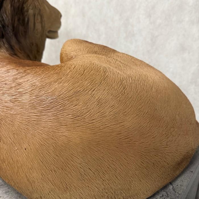 置物 動物 横たわるライオン 特大 横幅97.5cm woobia 巨大オブジェ