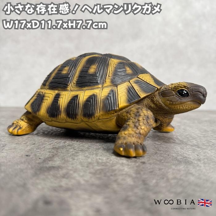 リクガメ　大型置物 WOOBIA（ウービア） 亀の置物 ヘルマンリクガメ 動物 かわいい 玄関