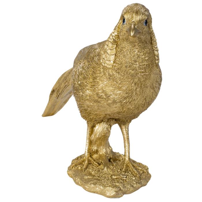 美品　錦鶏鳥　剥製　インテリア　置物　豪華 特大 銀鶏鳥 錦鶏鳥 剥製 置物 高級木製枠ガラスケース - メルカリ