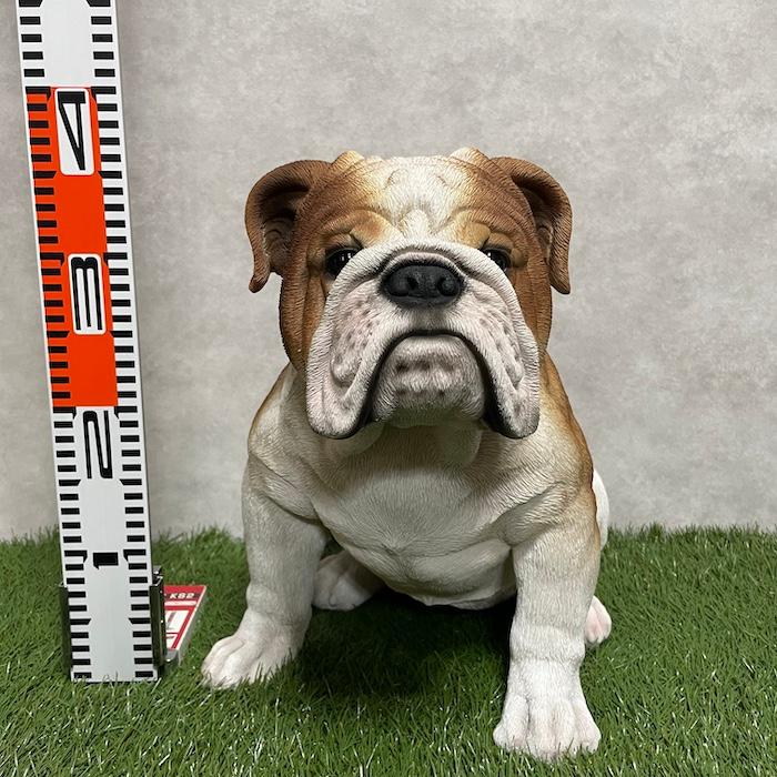 置物 犬 動物 ブルドッグ グッズ 横幅46.5cm woobia おしゃれ 大きい