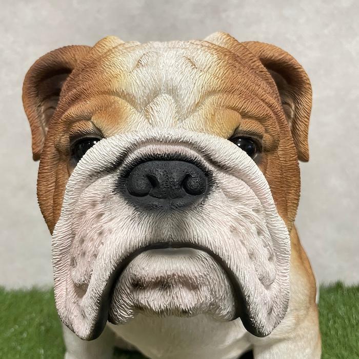 置物 犬 動物 ブルドッグ グッズ 横幅46.5cm woobia おしゃれ 大きい