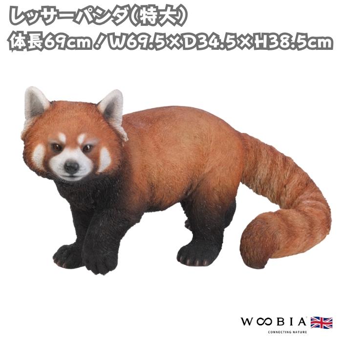 置物 動物 レッサーパンダ 特大 横幅69.5cm 巨大オブジェ woobia