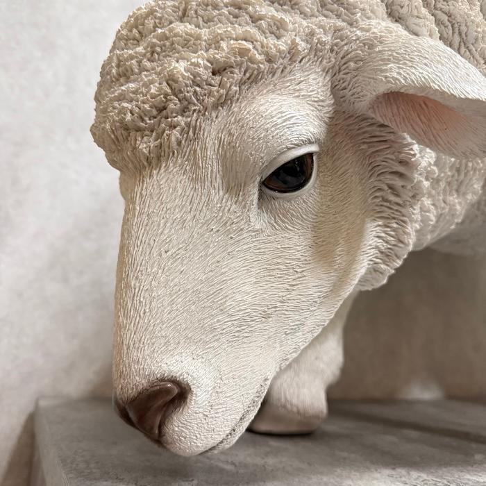 羊羊羊 大阪初・ラム肉ラーメン専門店！／「ラム白湯専門店 羊羊羊