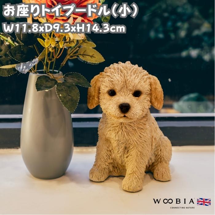 置物 犬 かわいい 動物 玄関 お座りトイプードル 小 おしゃれ トイレ インテリア ガーデン woobia ウービア | 