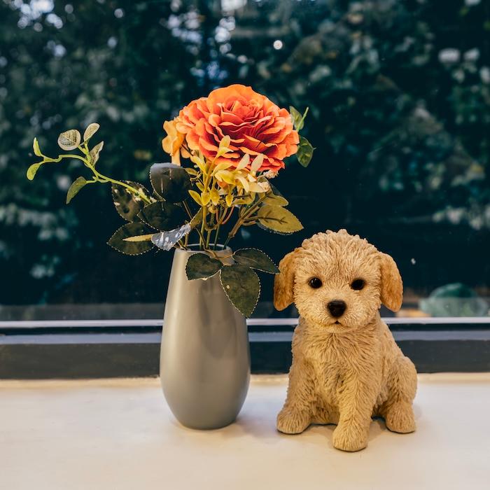 置物 犬 かわいい 動物 玄関 お座りトイプードル 小 おしゃれ トイレ インテリア ガーデン woobia ウービア |  | 07