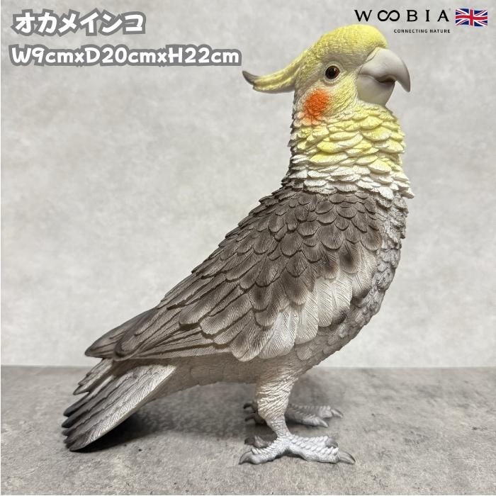 置物 鳥 かわいい オブジェ 北欧 動物 オカメインコ 高さ22cm おしゃれ